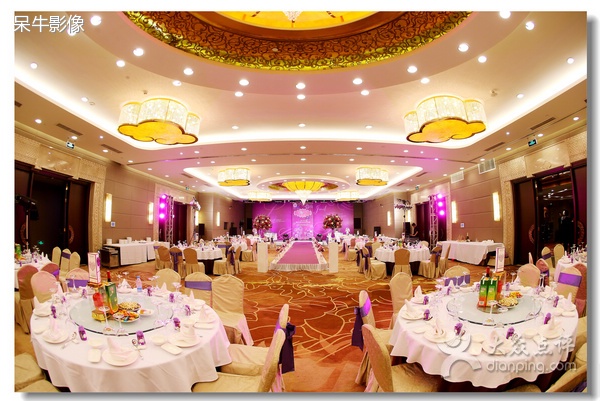 null测试团队注册