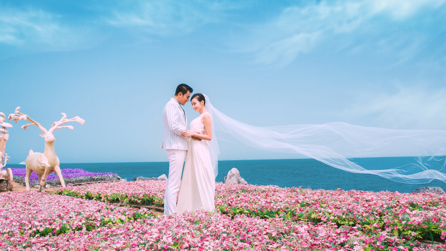 總裁特批內(nèi)部價原價6999現(xiàn)2999