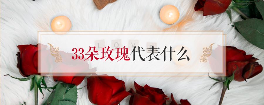 33朵玫瑰代表什么