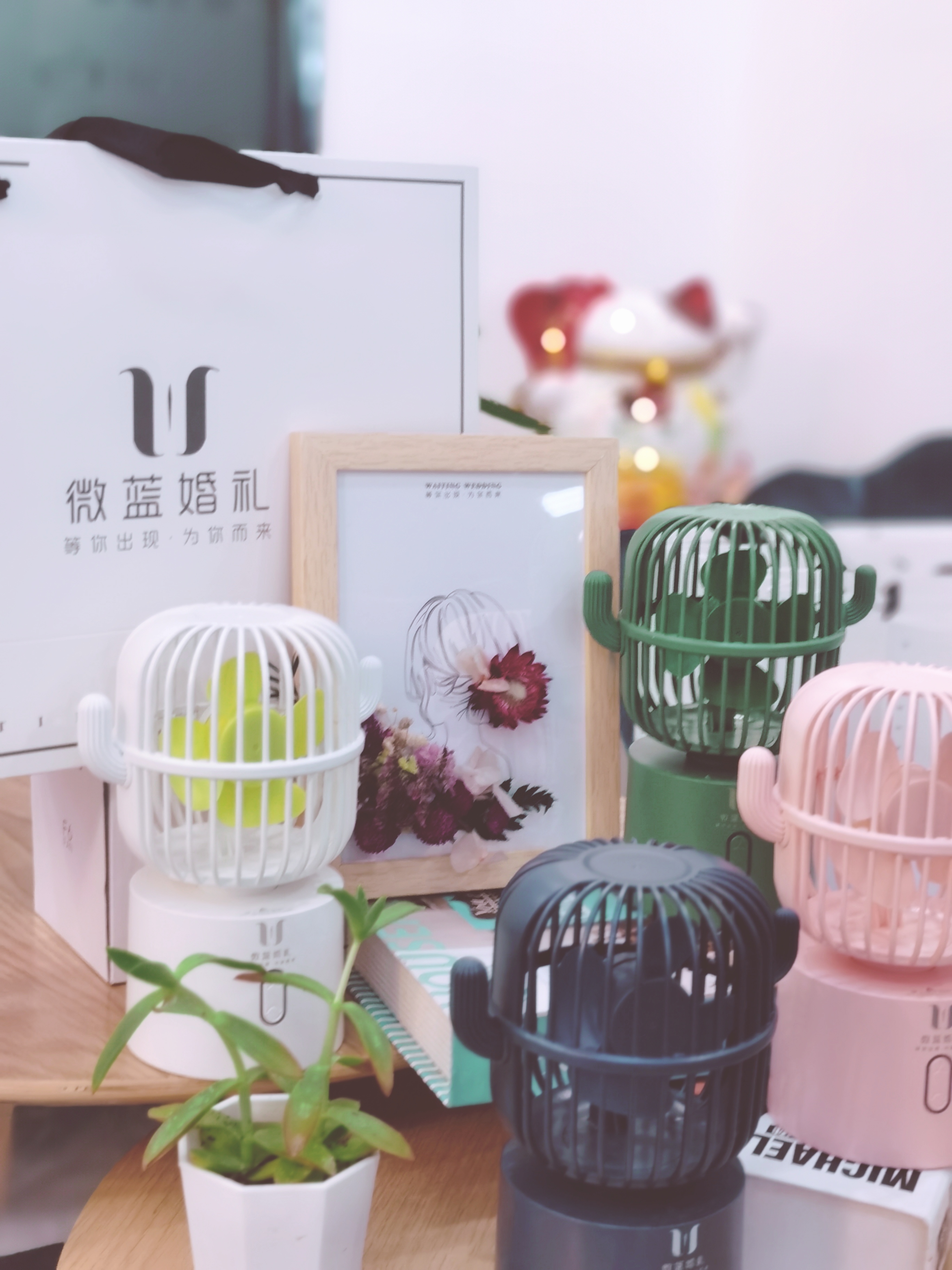 杭州微蓝婚礼
