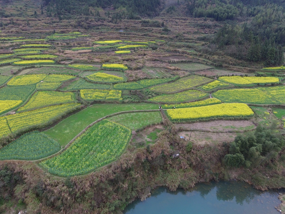 测试婚戒首饰达达商家10017