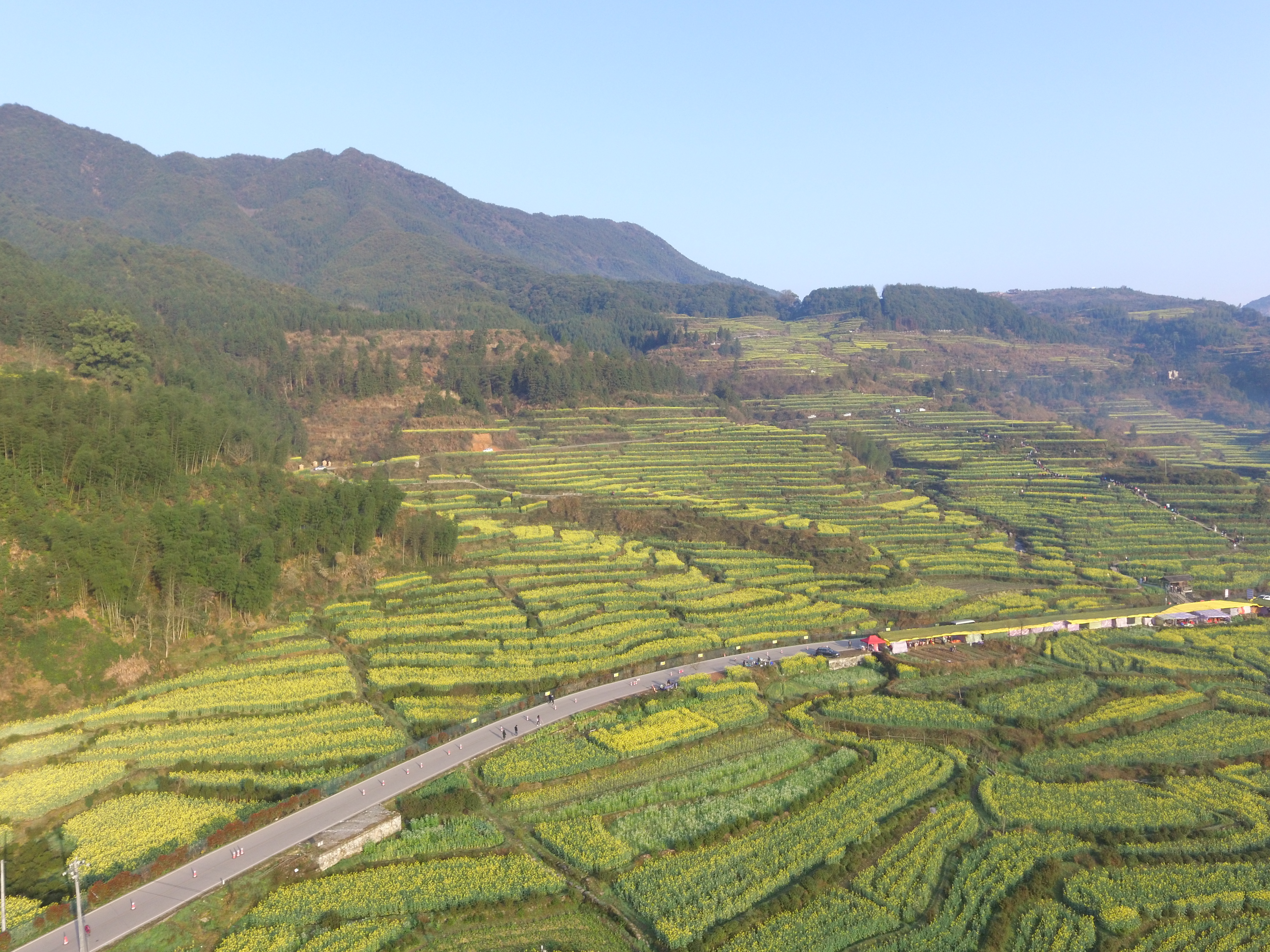 测试婚戒首饰达达商家10017