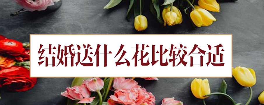 结婚送什么花比较合适