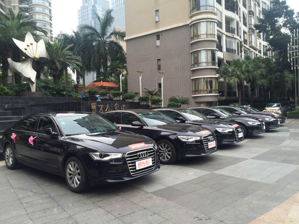 【特斯拉】Model X x1辆  + 【奥迪】A6Lx5辆