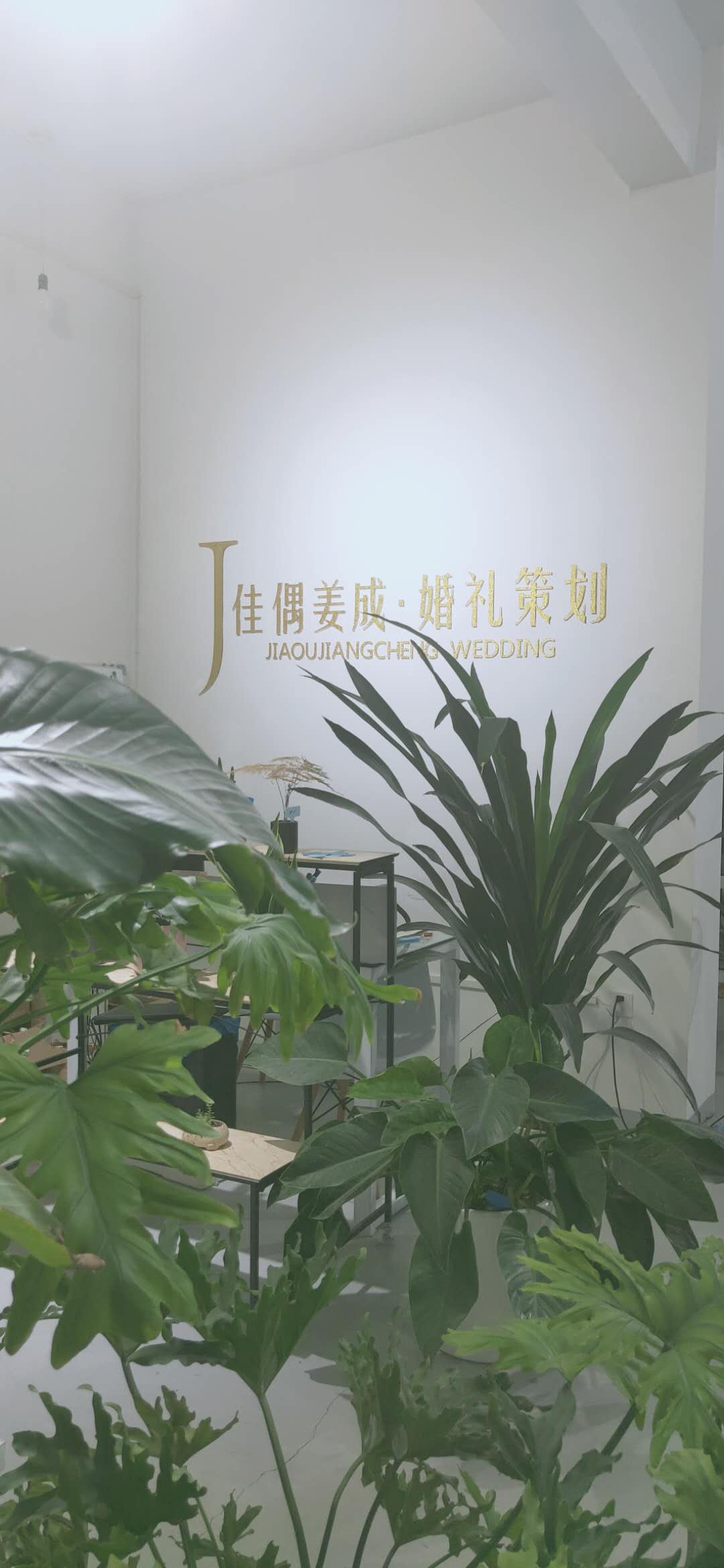 佳偶姜成婚礼策划