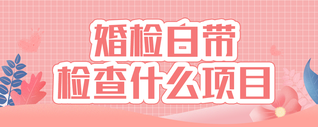 婚检白带检查什么项目