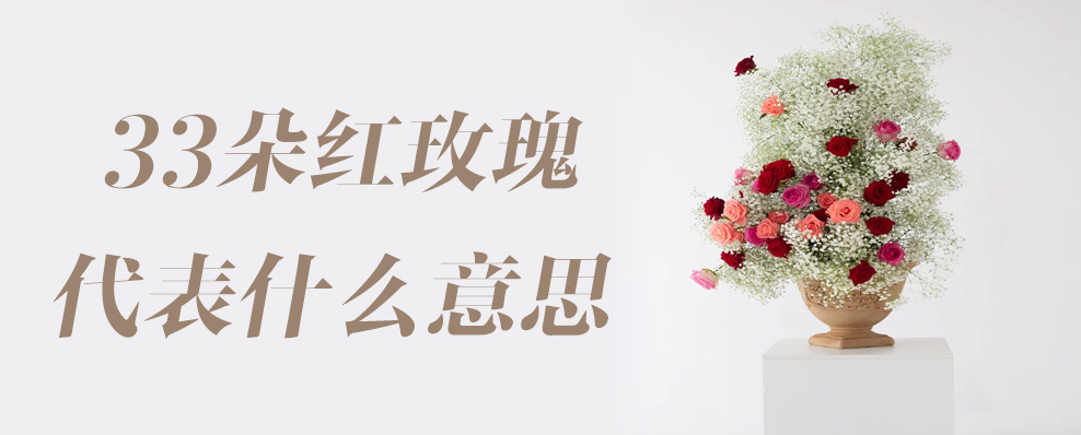 33朵红玫瑰代表什么意思