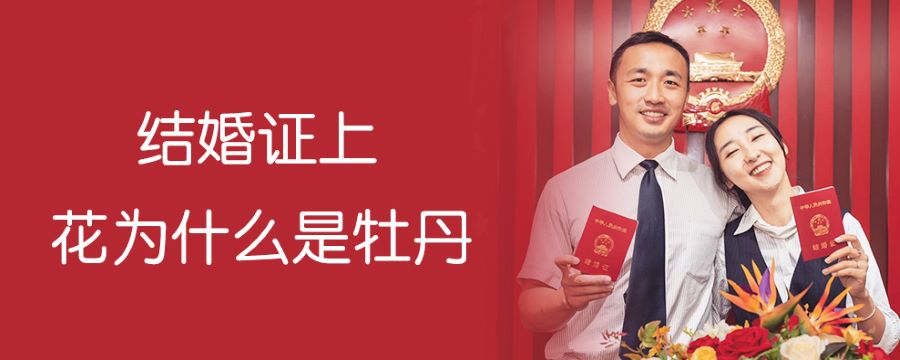 结婚证上花为什么是牡丹