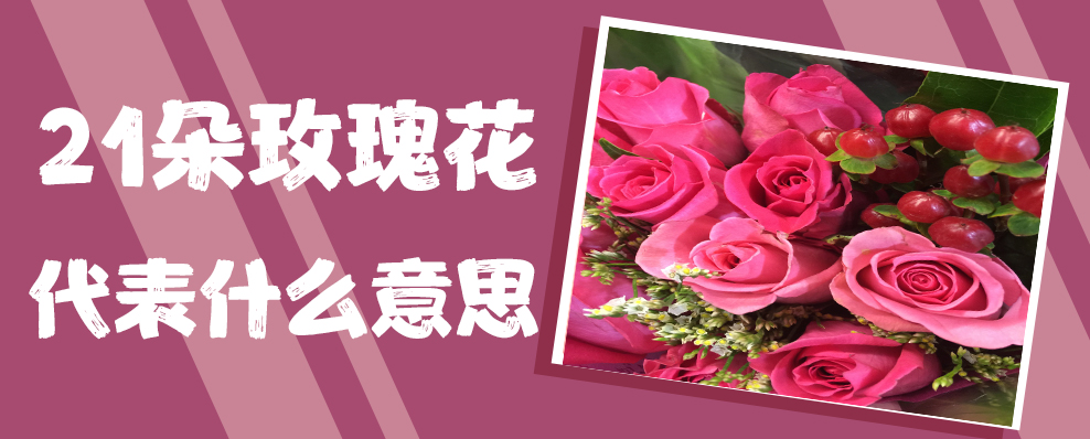 21朵玫瑰花代表什么意思