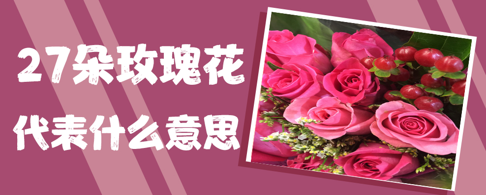 27朵玫瑰花代表什么意思