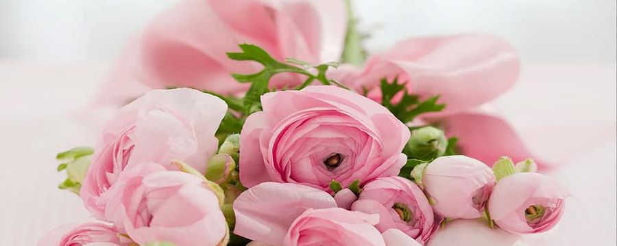 送三朵玫瑰花是什么意思