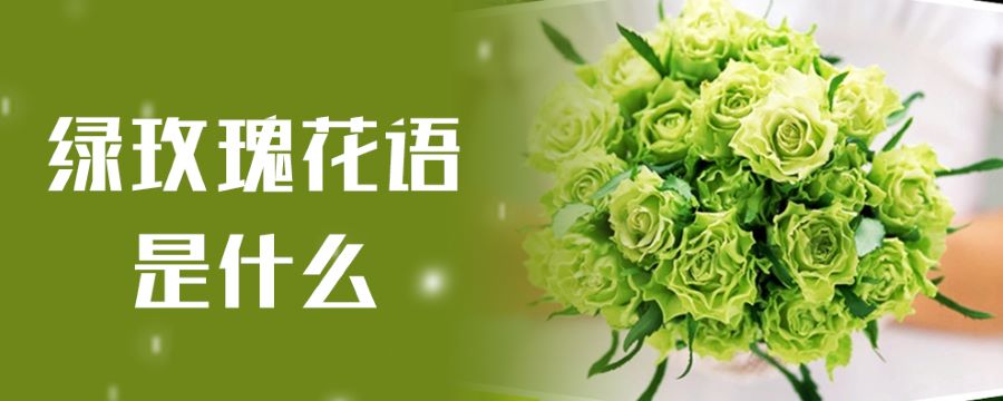 綠玫瑰花語(yǔ)是什么