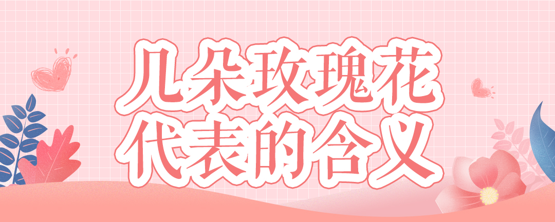 几朵玫瑰花代表的含义
