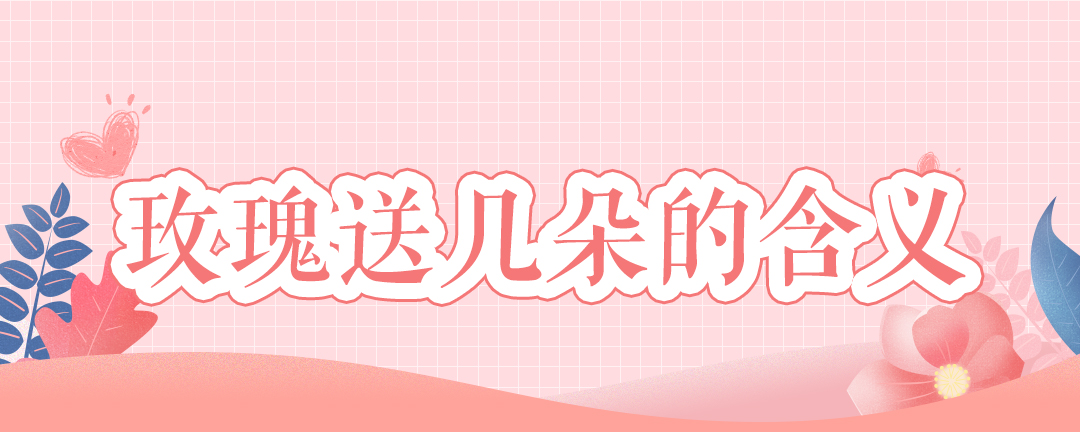 玫瑰送几朵的含义