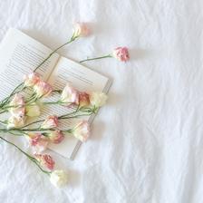 七夕情人节送什么礼物