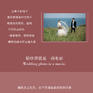 《海岛单日》-研发组立减1000元婚纱照