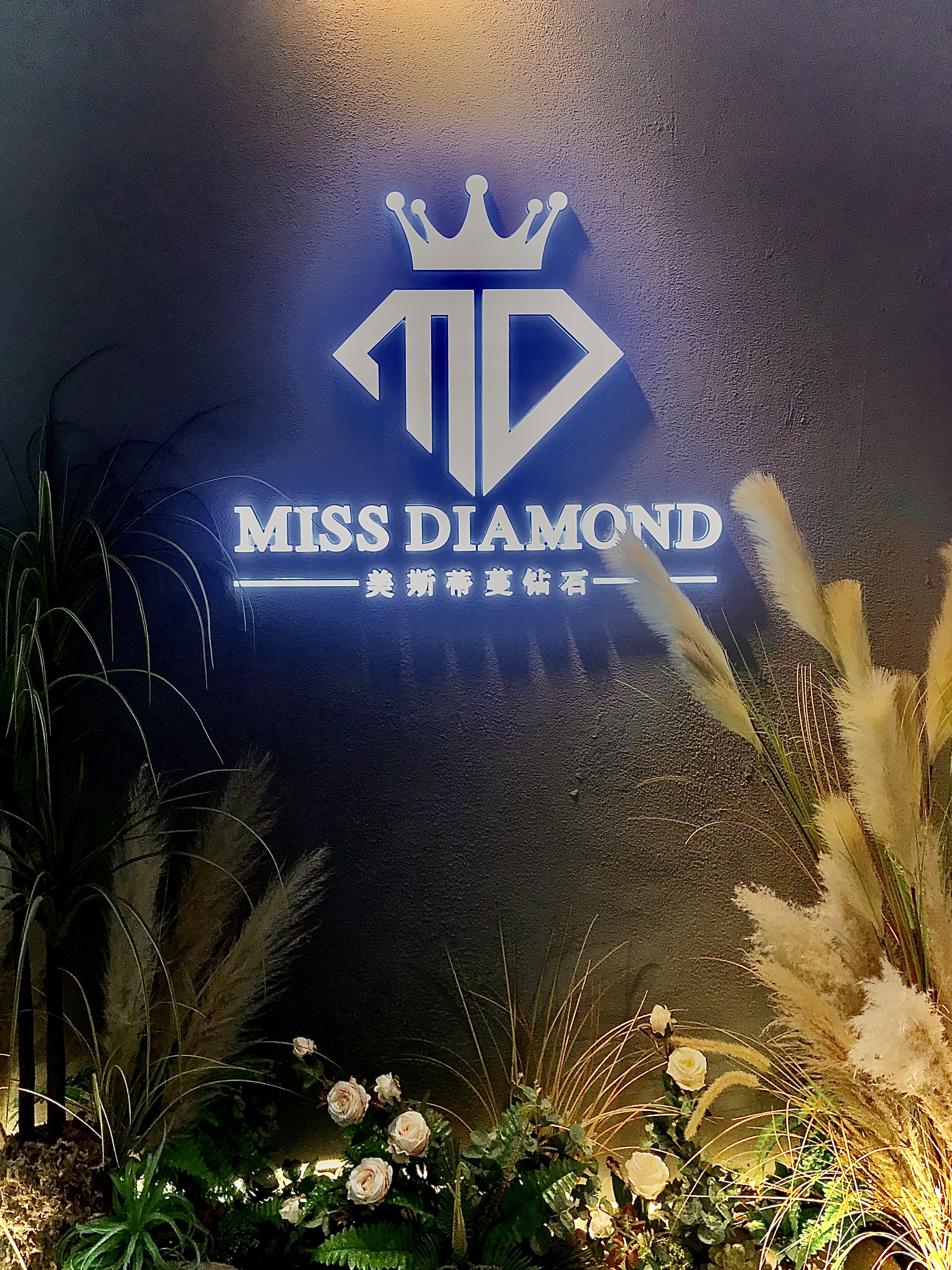 Miss Diamond美斯蒂蔓钻戒珠宝