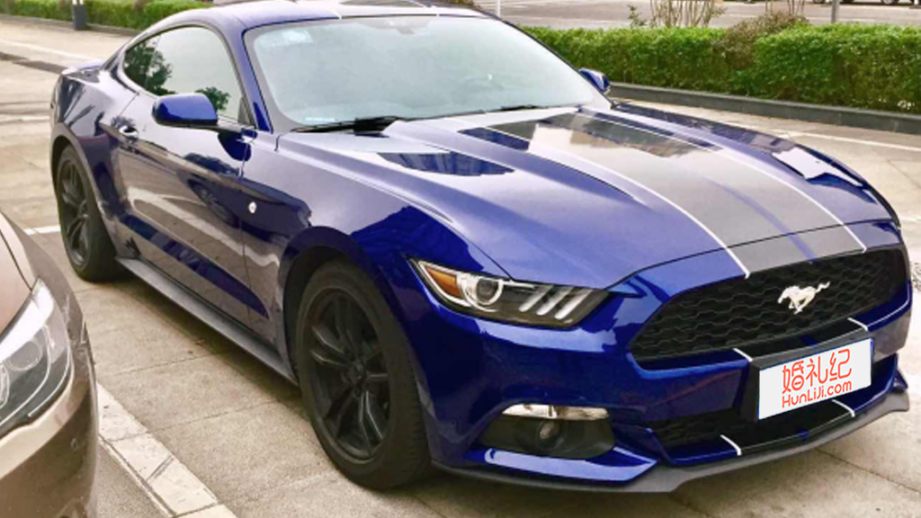 【奥迪】A6L + 【福特】野马*1辆