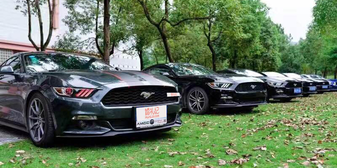 【奥迪】A6L + 【福特】野马*1辆