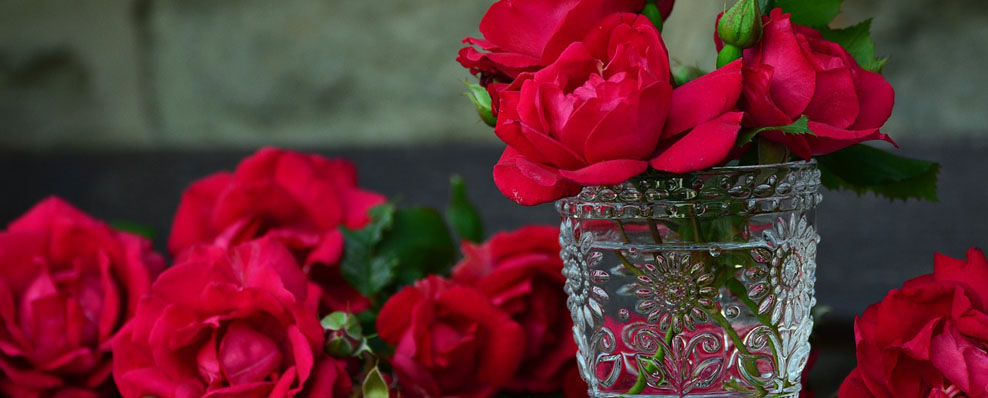 代表爱情的花及花语