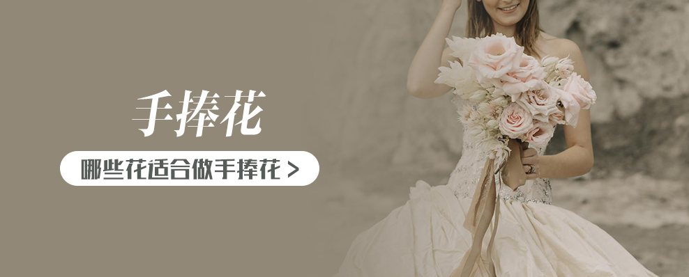 哪些花适合做手捧花