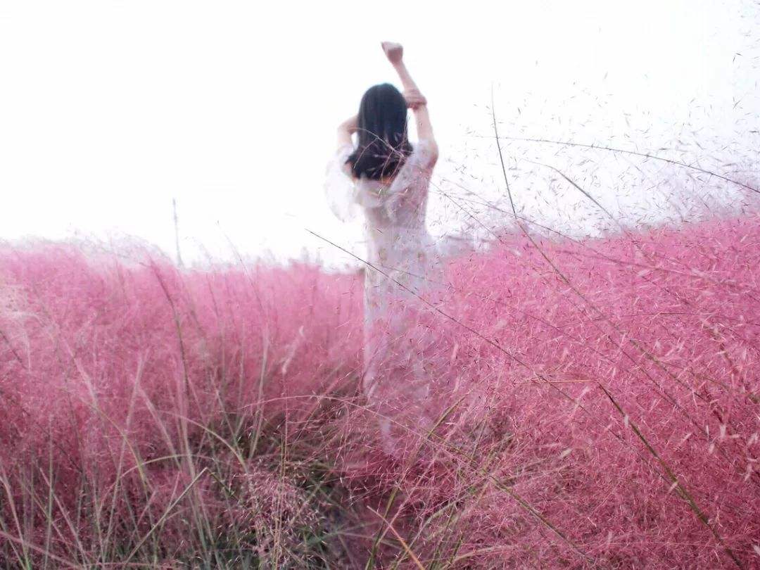 测试-昆明丝瓜（犀牛62期）