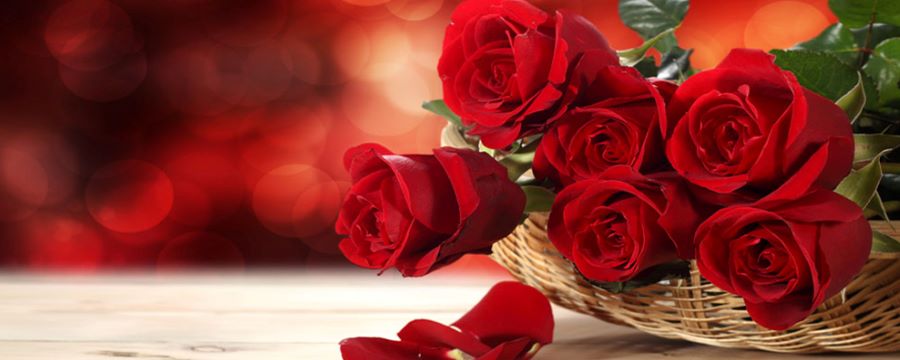 花瓣造型的钻戒寓意