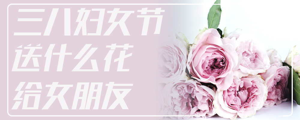 三八妇女节送什么花给女朋友