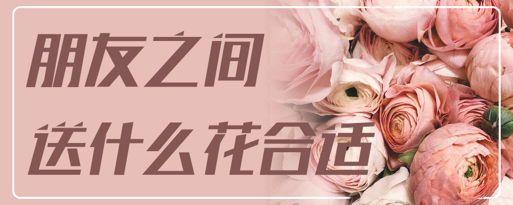 朋友之间送什么花合适