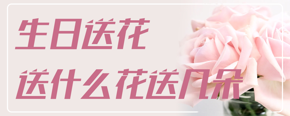 生日送花送什么花送几朵