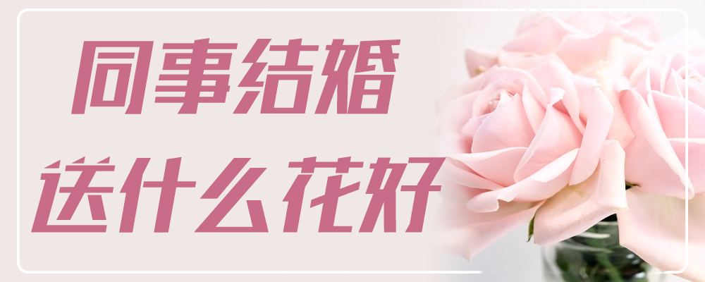 同事结婚送什么花好