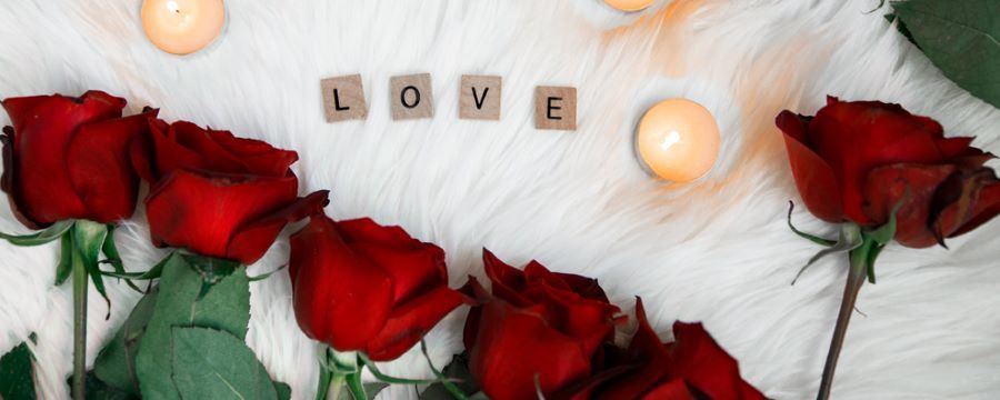 求婚玫瑰花应该送多少朵