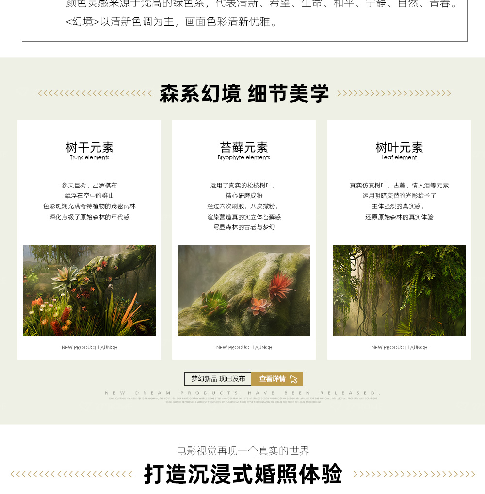 27°原創(chuàng)|幻境 總監(jiān)團隊一對一拍攝