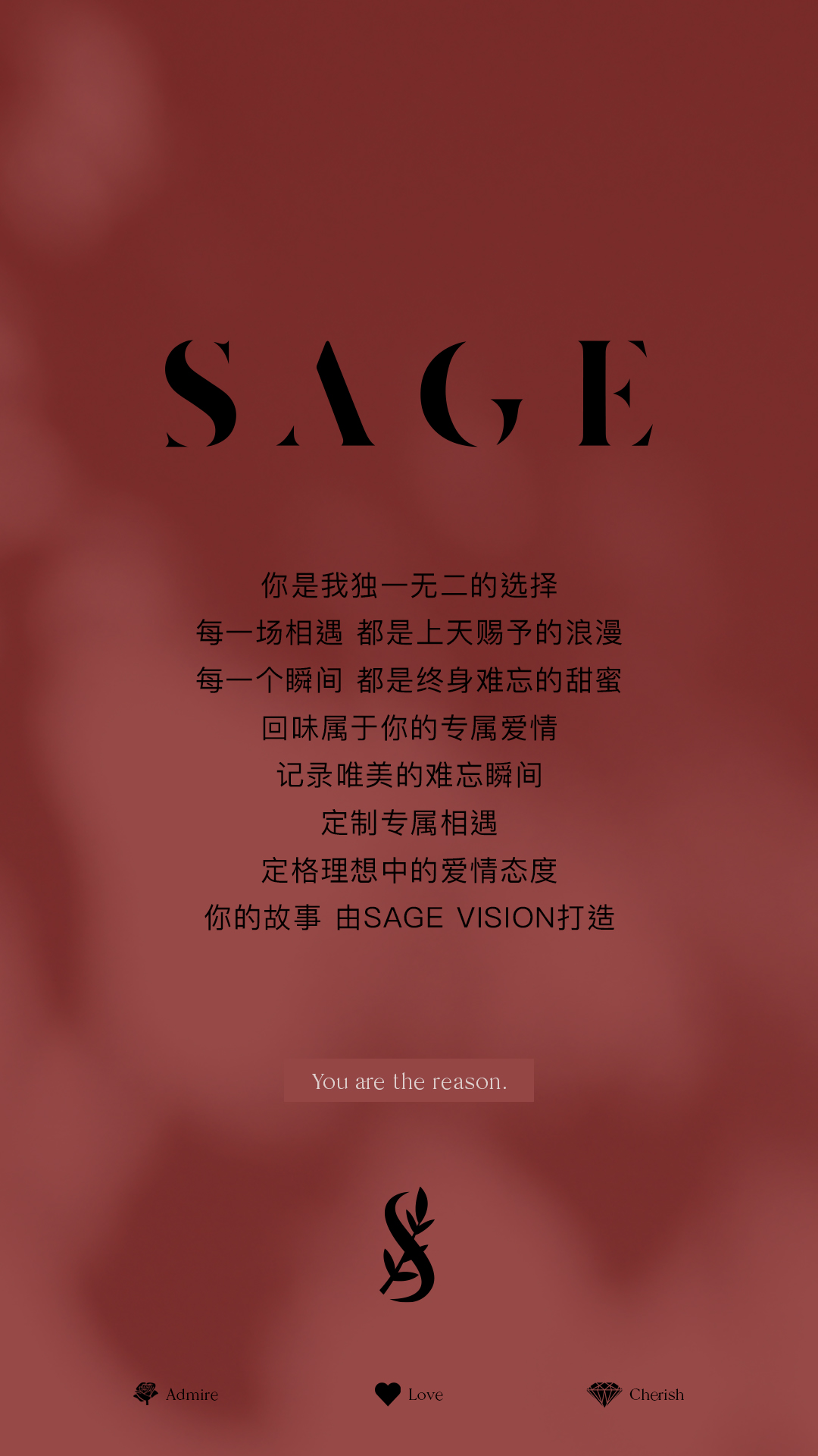 SAGE《SWAN LAKE》-总监摄影团队