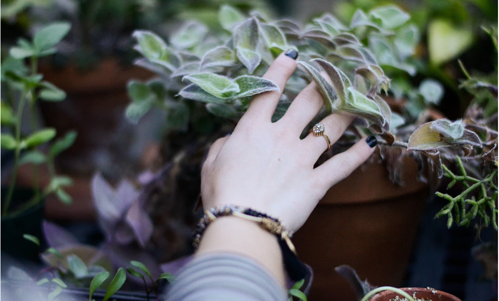 戒指的戴法与含义（图解）