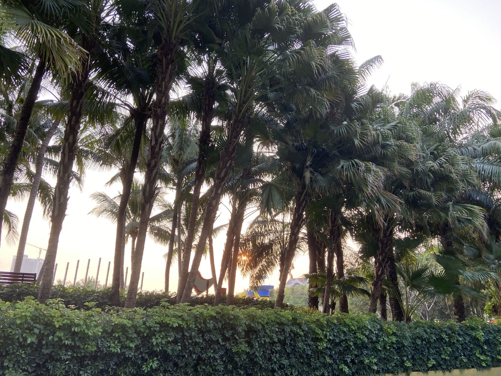 深圳之道-婚纱摄影策划，优惠多多 测试