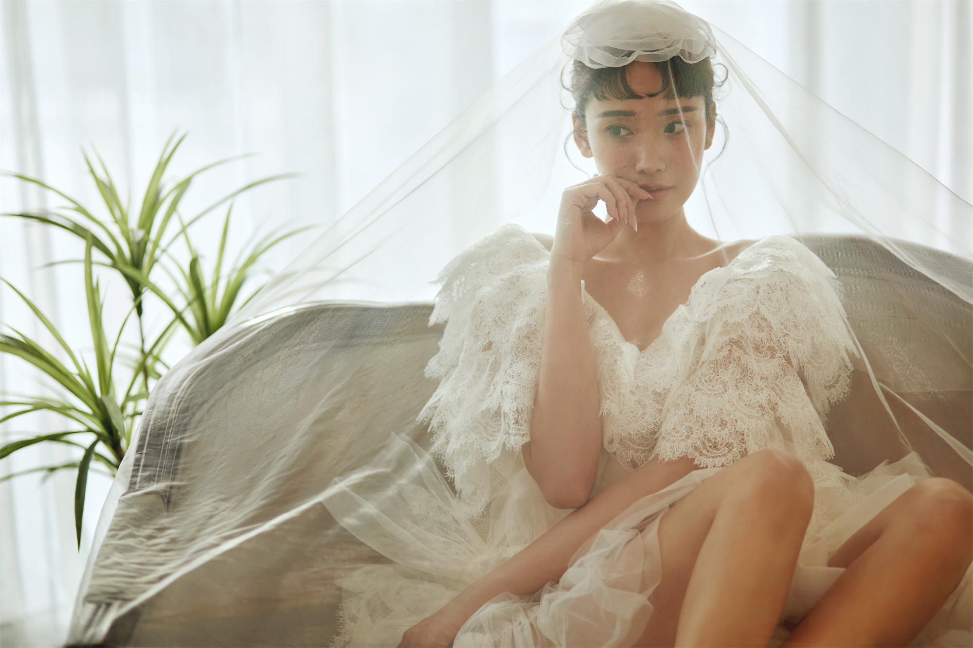 【首席团队】绵阳本地拍摄套餐/婚纱照