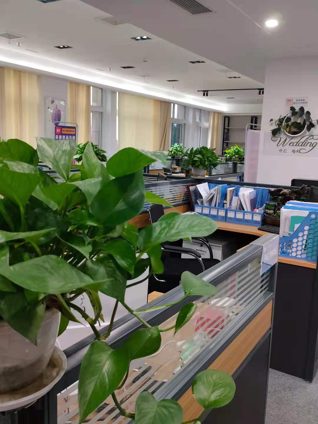 萍乡升汇婚礼