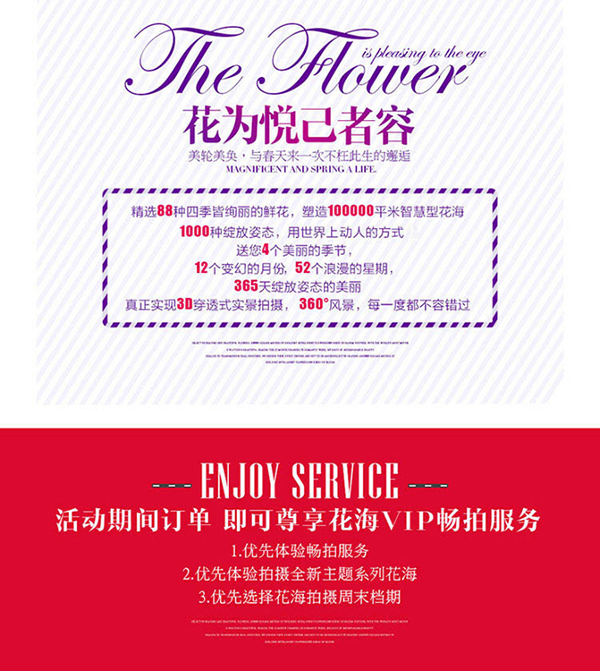 苏城任拍+全场任选+一对一服务