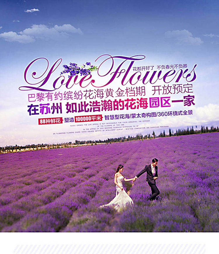 苏城任拍+全场任选+一对一服务