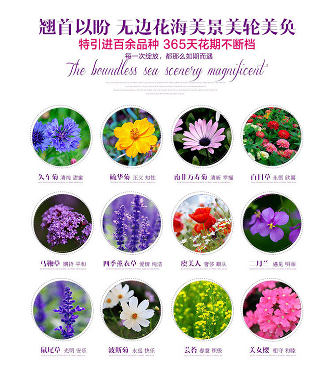 苏城任拍+全场任选+一对一服务