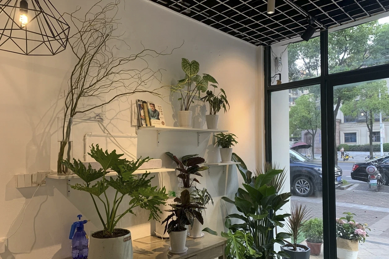幸福港湾婚庆策划工作室