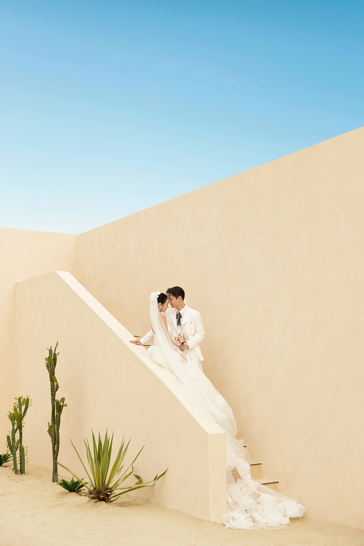 《霓虹甜心》-单色 背景婚纱照