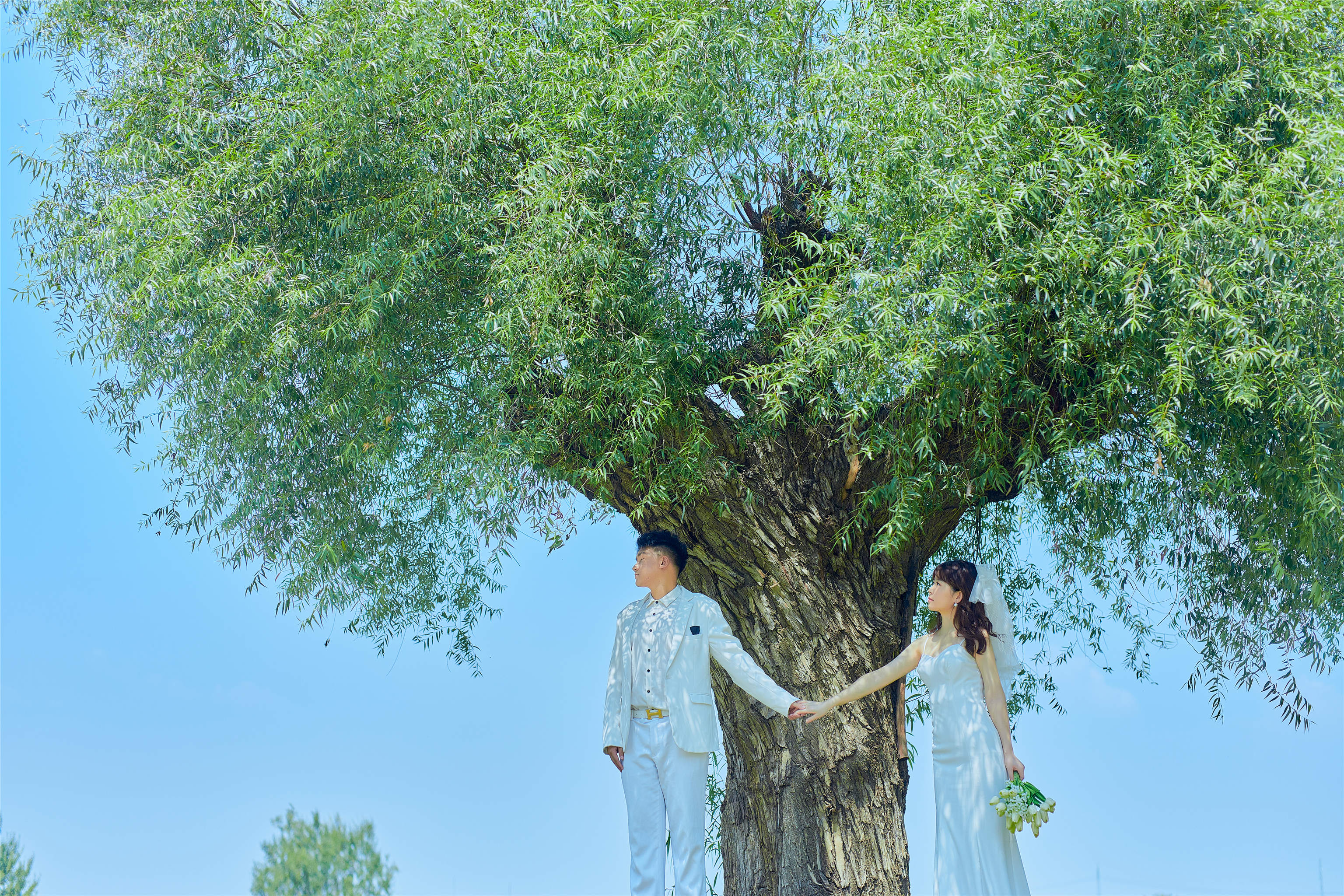 郑州高端网红婚纱拍摄片场·韩系·小预算