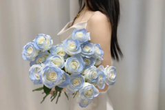 11朵碎冰蓝玫瑰花语和寓意 代表什么意思