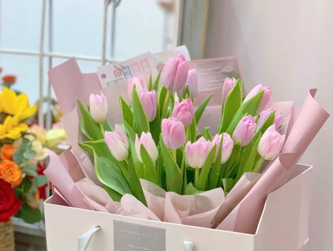粉色郁金香花语和寓意是什么