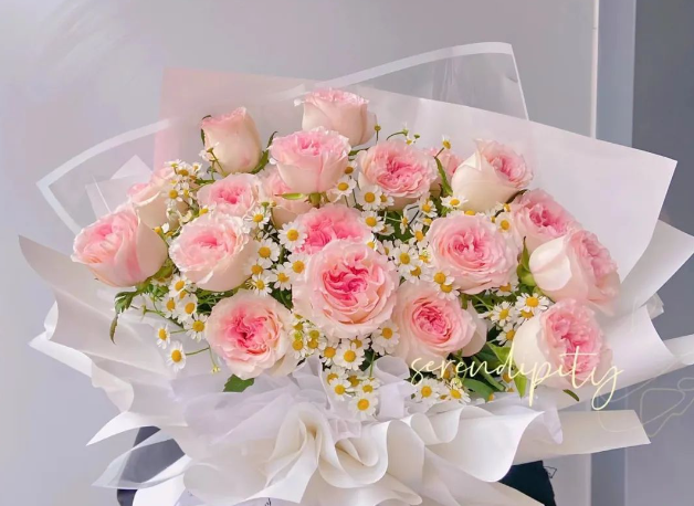 情人节除了玫瑰花还可以送什么花