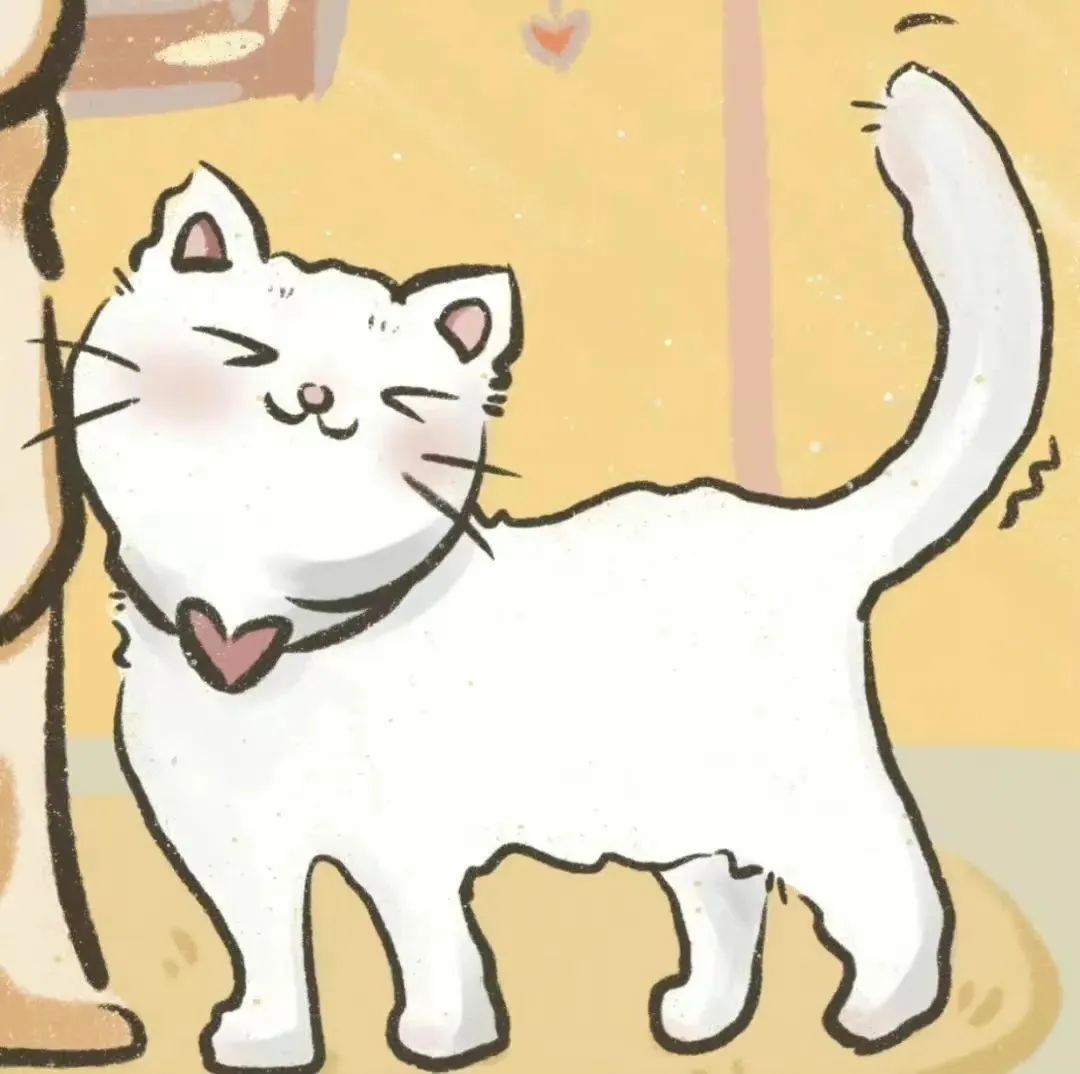 猫咪头像 情侣 ins - 堆糖，美图壁纸兴趣社区