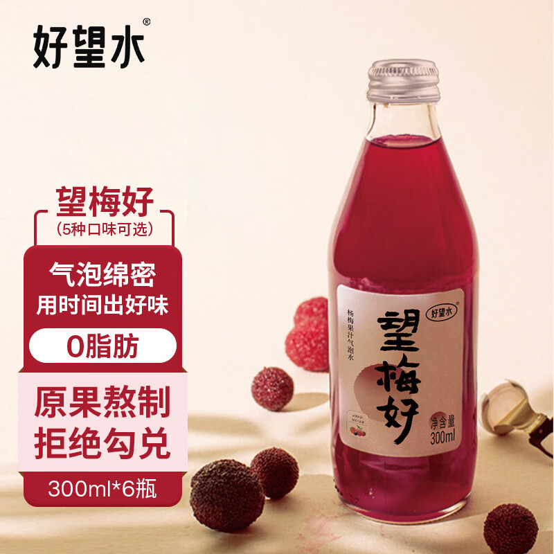 好望水望梅好杨梅汽泡水无香精酸梅汤果汁饮料300ml*6瓶整箱