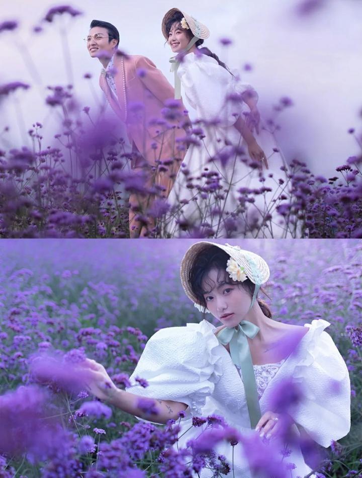 紫色康乃馨的花语和寓意 适合送什么人